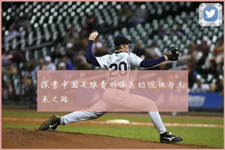 探索中国足球青训体系的现状与未来之路