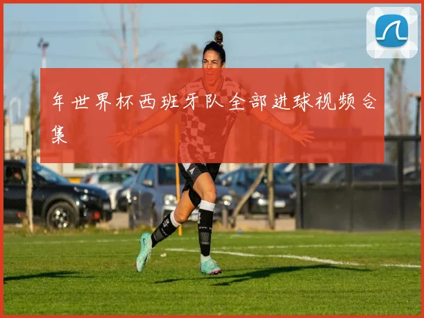 年世界杯西班牙队全部进球视频合集